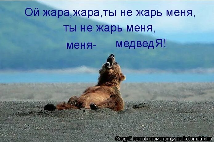 нестерпимая жара. русский язык 8 класс упражнение 31. синтаксический разбор предложения лето сухое дожди почти не выпадали. выпишите раскрывая скобки в ряд в котором все не пишутся раздельно. жара невыносимая картинки.