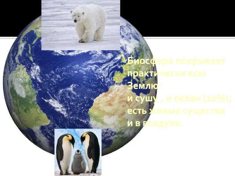 Биосфера сфера жизни. Биосфера это в географии. Биосфера. Плакат "биосфера-сфера жизни". Презентация биосфера география.