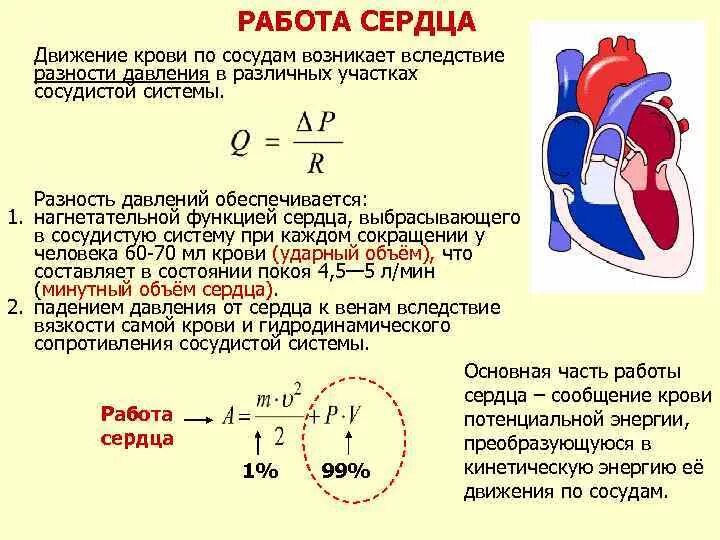 Давление в аорте и легочной артерии. Формула расчета эфд гемодинамика. изменение гидростатического градиента патфиз. как регулируется нагнетательная функция сердца. каково значение градиента кровяного давление в сосудистой системе:.