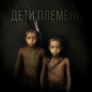 Племя половое
