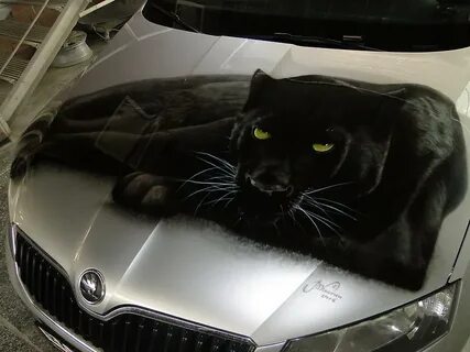 Кошки капот