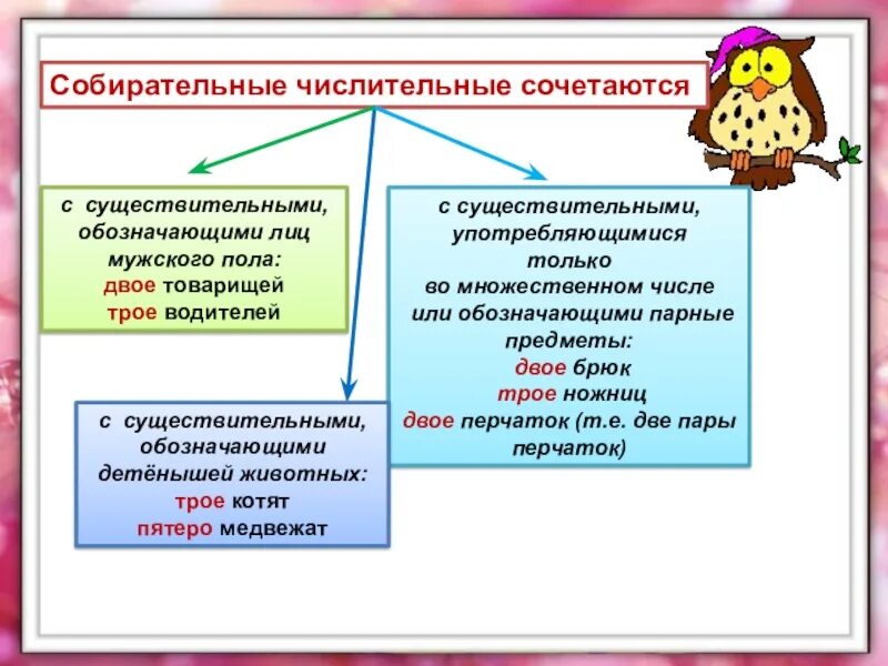 Двое четверо какие числительные. Собирательные числительные. Cобирательрые числительные. Употребление собирательных числительных 6 класс. Собирательные числительные сочетаются с существительными.