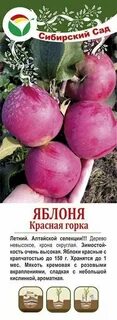 Яблоня красная описание