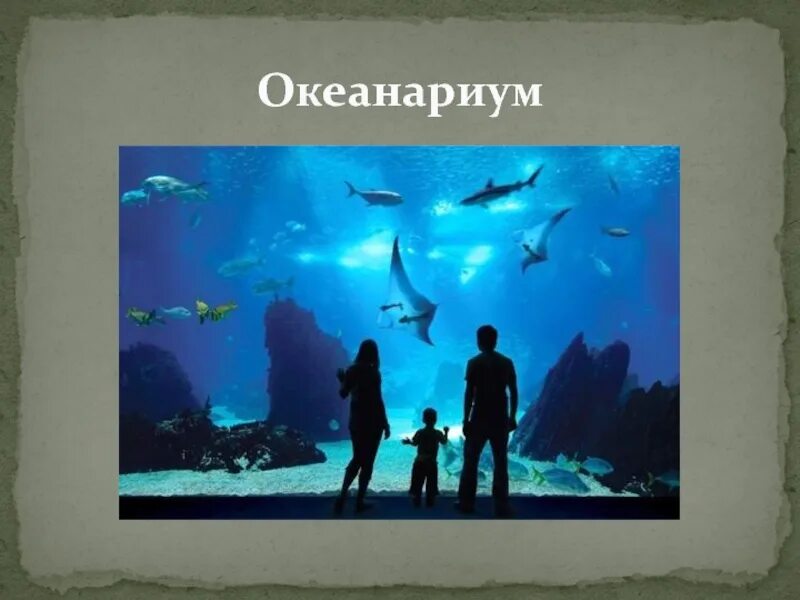 Презентация на тему океанариум. Проект на тему океанариум. Презентация путешествие в океанариум.