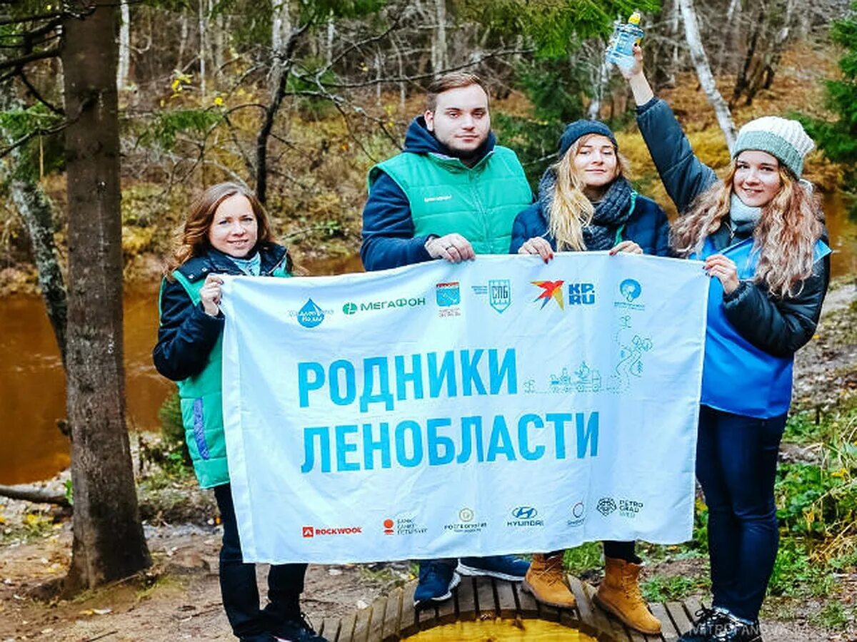 Родники ленинградской. Родники Ленобласти. Родники в Ленинградской области с питьевой водой. Серебряные Родники в Ленобласти. Карта родников Ленобласти.