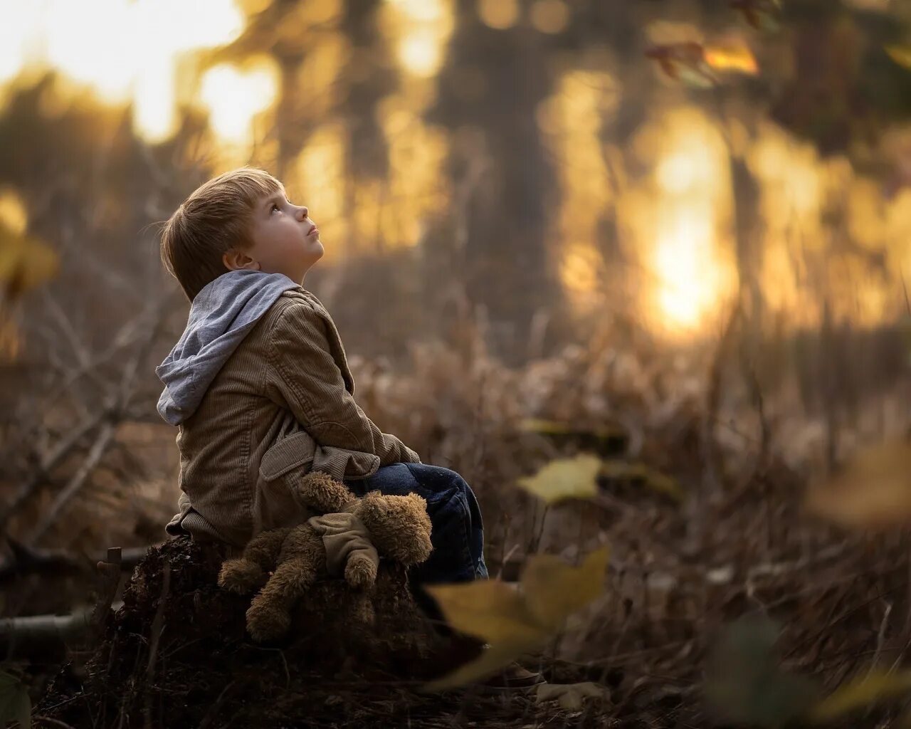 Рисунок на тему лес. Малыши. Хлопчик в лесу. В лесу. Мальчик плачет в лесу.