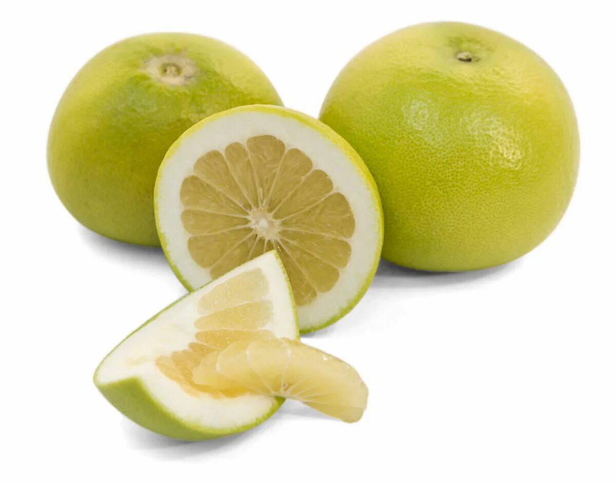 цитрус свити цитрусовые. свити свит. свити свит. мандарины свити. свити свит.