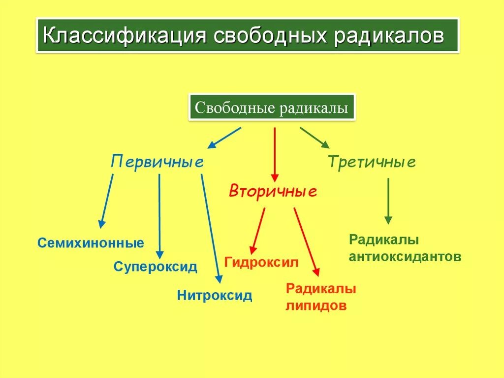 Классификация свободных радикалов. Свободные радикалы классификация патофизиология. Первичные вторичные радикалы. Первичные радикалы в организме. Радикал значение