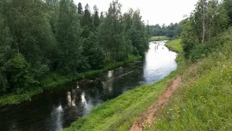 Витебский оредеж