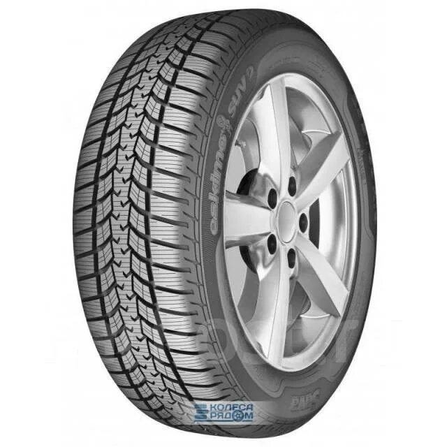 225 60 r17 103v xl. 235/55/17 Sava Eskimo SUV 2. Автомобильная шина Sava Eskimo SUV 225/65 r17 102h зимняя. Автомобильная шина Sava Eskimo SUV 2 255/55 r18 109h зимняя. Автомобильная шина Sava Effecta 195/70 r14 91t летняя.