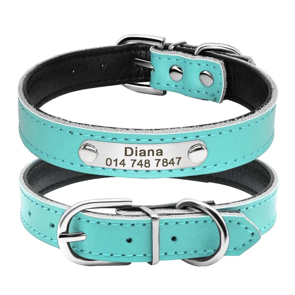 Ошейник для собак Dog Collar. Ошейник с именем для собак. Именной ошейник. Ошейник для собак кожаный. Ошейники для собак минск