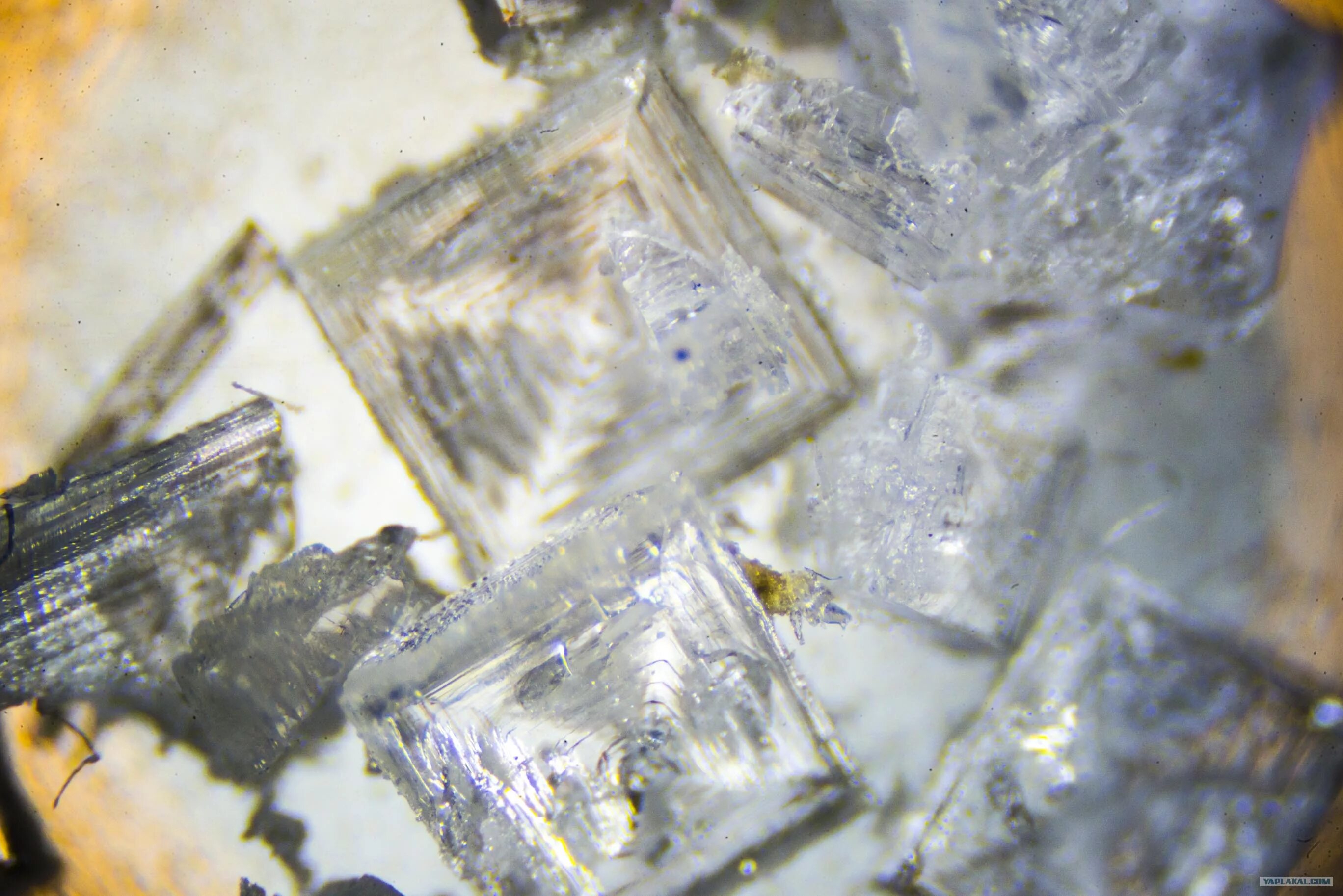 Кристаллы поваренной соли под микроскопом. Соль под микроскопом 200х 400х. Кристаллы сахара под микроскопом. Кристаллы соли под электронным микроскопом.