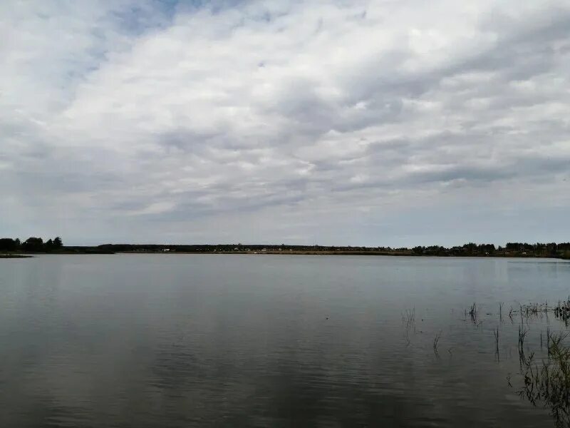 бураково ясногорск. вода ясногорск. горки тульская область ясногорский район. волгодон ревякино. ясногорск тульская область достопримечательности.