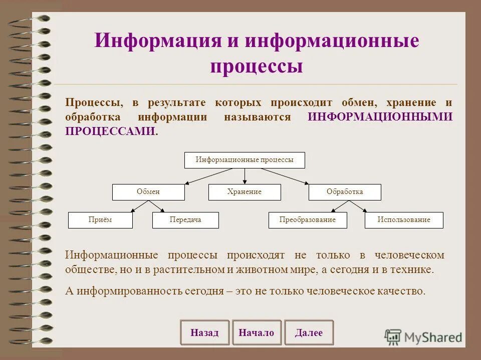 Информационные процессы элементы. Информация и информационные процессы. Информация и информационные процессы Информатика. Информационные процессы в информатике 7 класс. Информационные процессы это процессы.