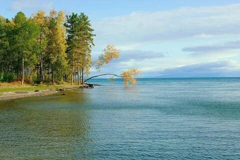 Максимиха погода сегодня