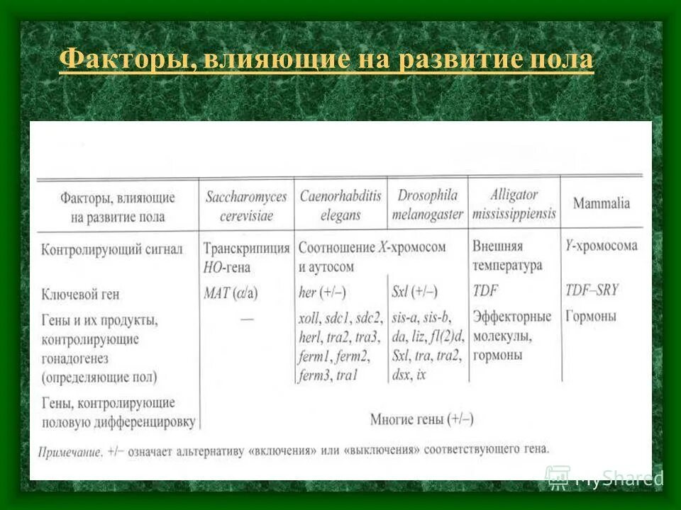 факторы определяющие состояние здоровья человека. назовите 2 фактора определяющие здоровье населения:. факторы влияющие на способности человека. факторы определяющие внутреннюю картину болезни. классификация факторов определяющих здоровье населения.
