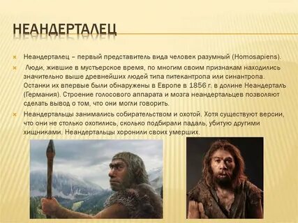 Особенности жизни неандертальцев