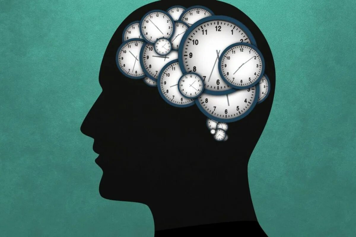 Brain processing. Биологические часы биоритмы. Восприятие мозга.