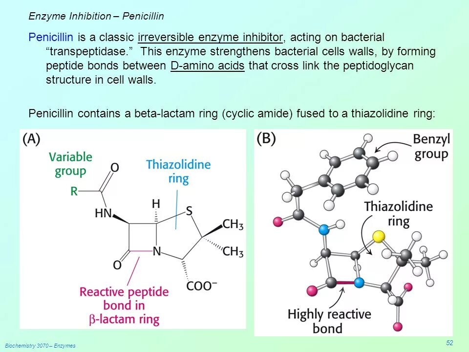 Enzyme inhibitors. Пенициллин пептидная связь. Enzyme inhibition. Пенициллин формула. Пав энзимы