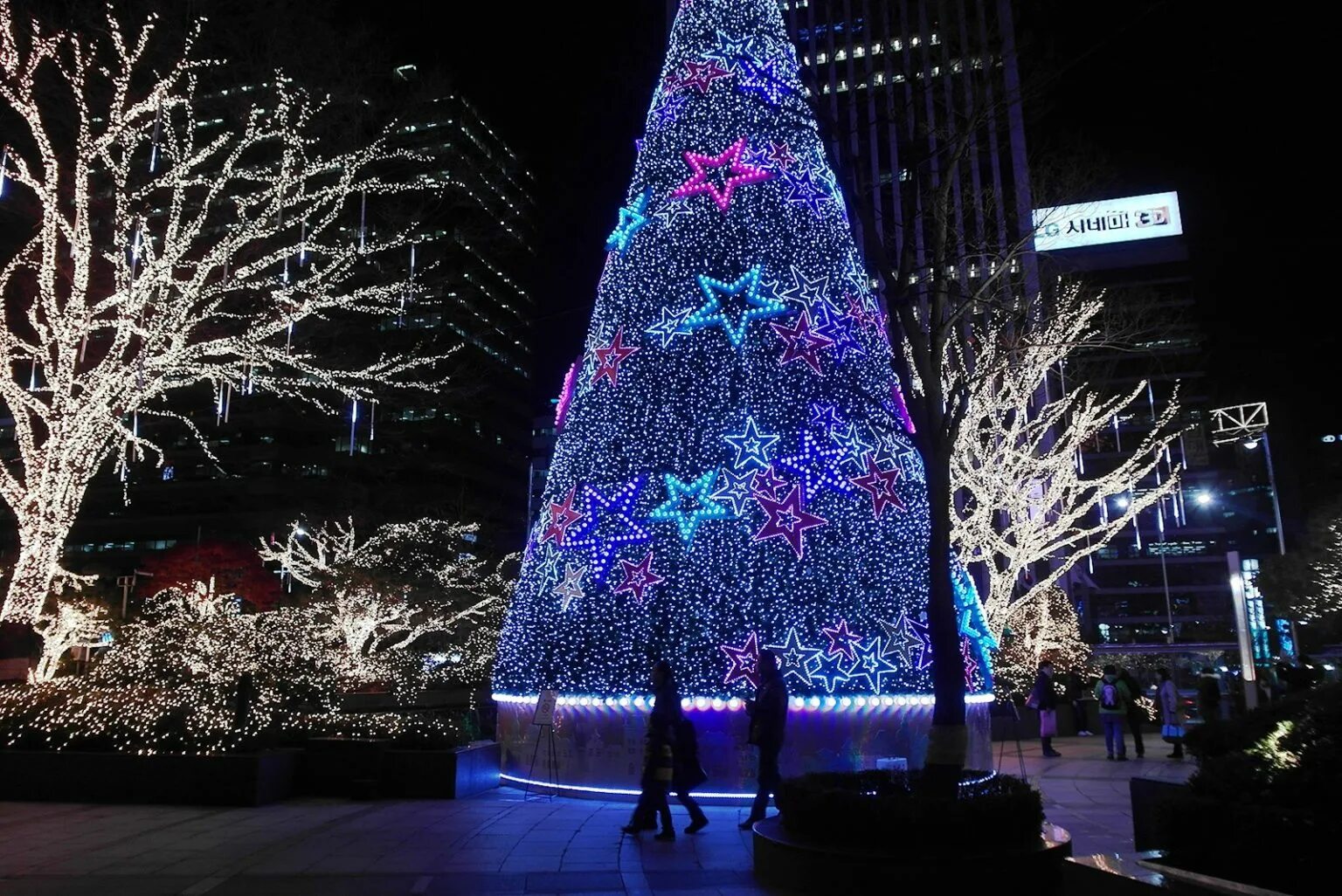 Когда празднуют новый год в корее. Сеул Рождество в Южной Корее. Новый год в Южной Корее. Рождественская елка в Корее. Елка в Сеуле 2020.