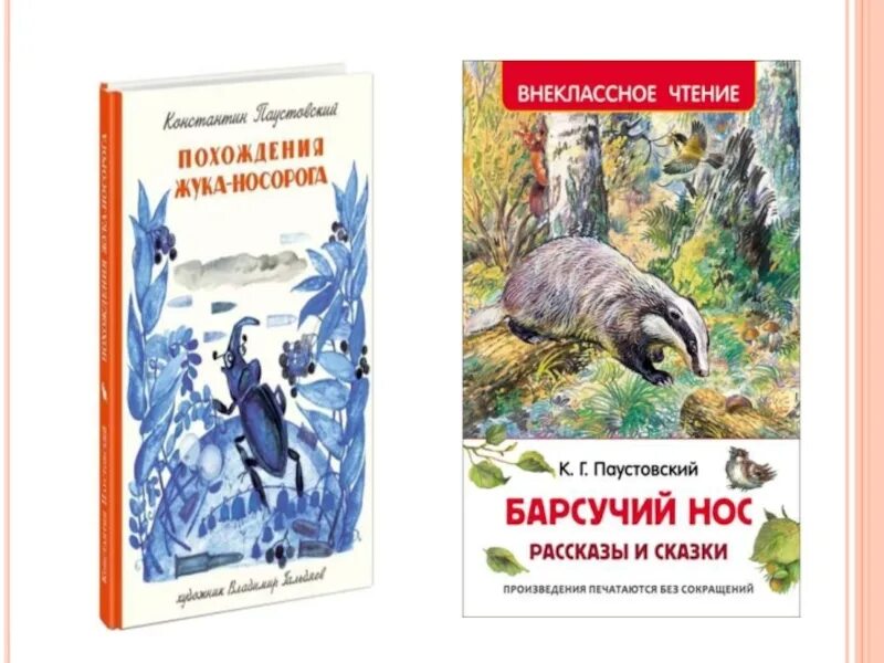 Рассказ барсучий нос 3 класс литературное чтение. Паустовский барсучий нос обложка книги. Книгаюарсучий нос Паустовский. Паустовский барсучий нос обложка.