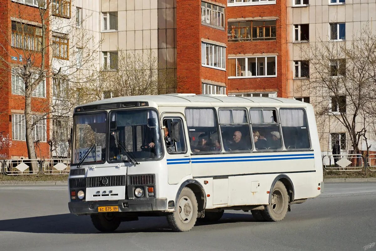 ПАЗ 32053-30. ПАЗ 32053 Шуя 484ax. Пазик автобус. АС И ПАЗ.