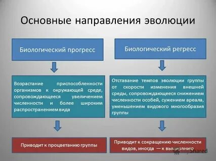 Направления развития это определение