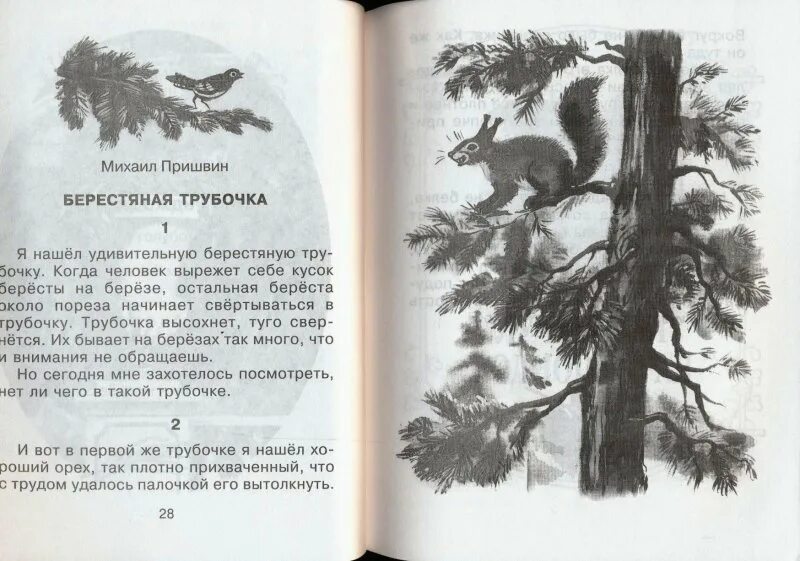 Рассказ берестяная трубочка. М М пришвин берестяная трубочка. Пришвин берестяная трубочка иллюстрации. Рассказ берестяная трубочка пришвин.