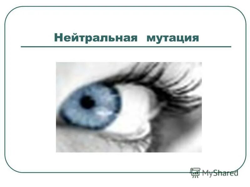 нейтральные мутации. полезные мутации примеры. нейтральные мутации. нейтральные мутации. нейтральные мутации.