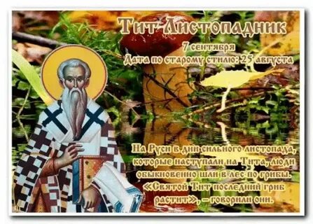 7 сентября какой день