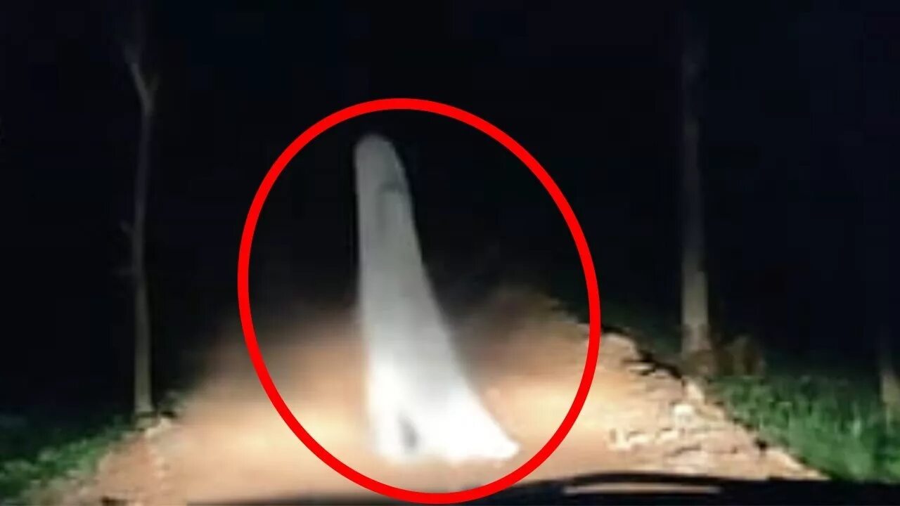 Самое скрываемое видео. Палочник слендер. Скрытые камеры. Самое скрываемое видео. Страшные необъяснимые явления.