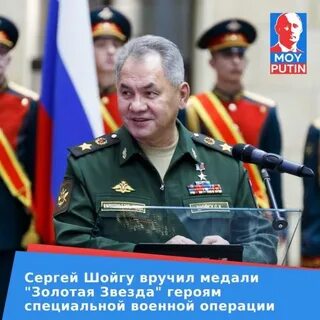 Медали шойгу
