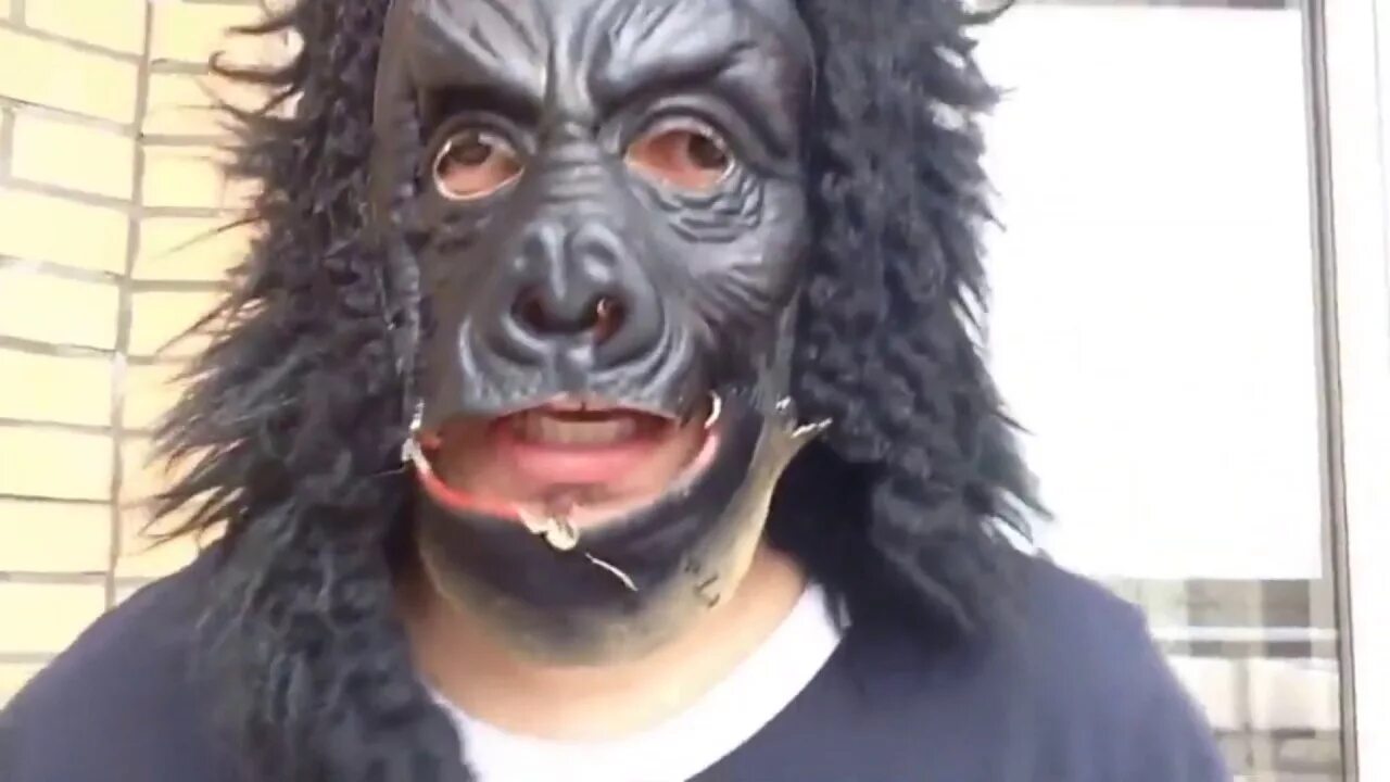 Первый альбом паши техника