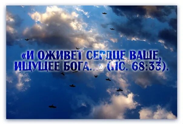 Ищите бога ищите слезно. Бог не ищет путь к сердцу. Отражение бога. Сердце не ищет других. Не ищите бога в храме.