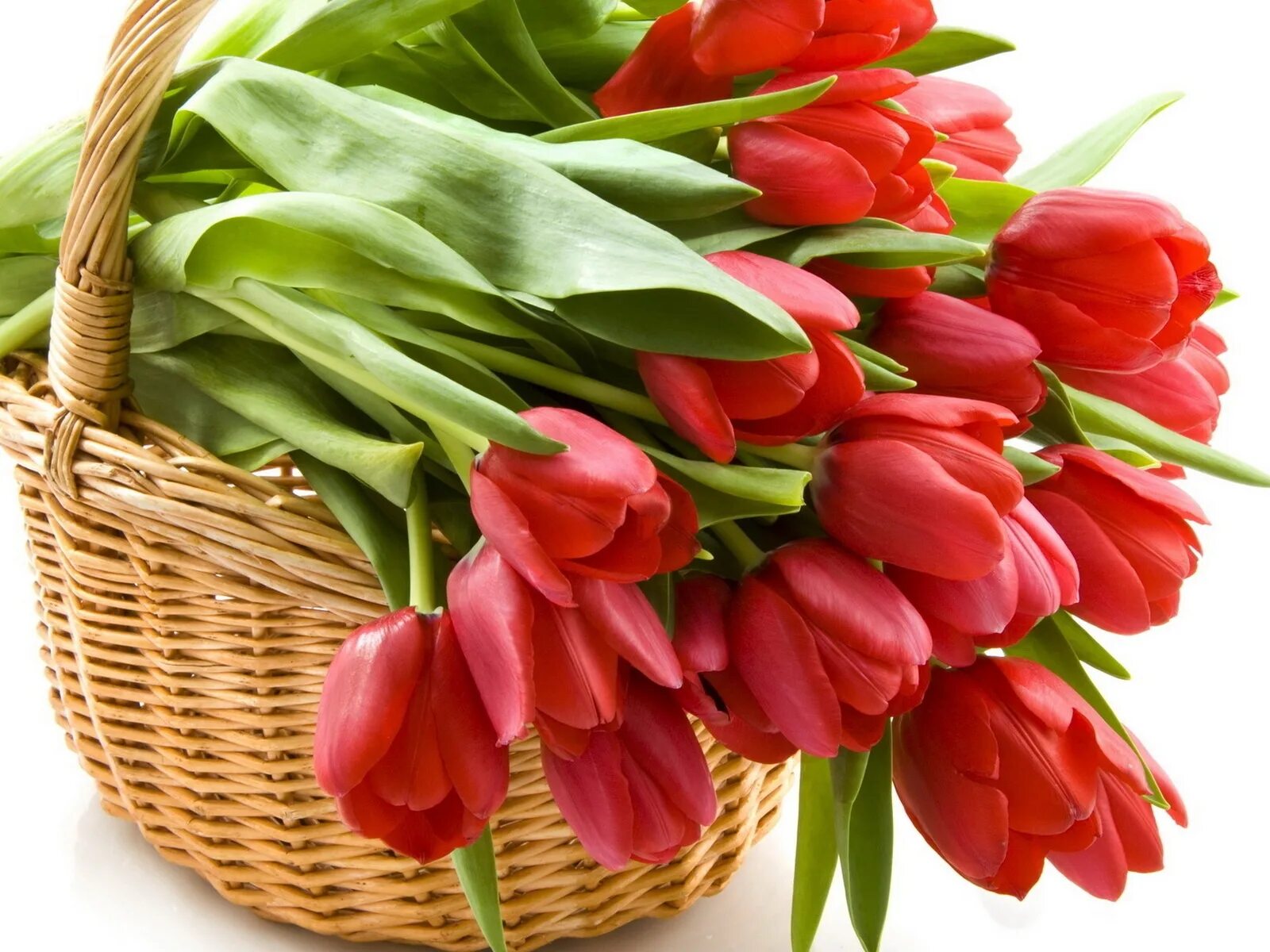 Тюльпаны открытки красивые с пожеланиями. Цветы тюльпаны. С днём рождения тюльпаны.