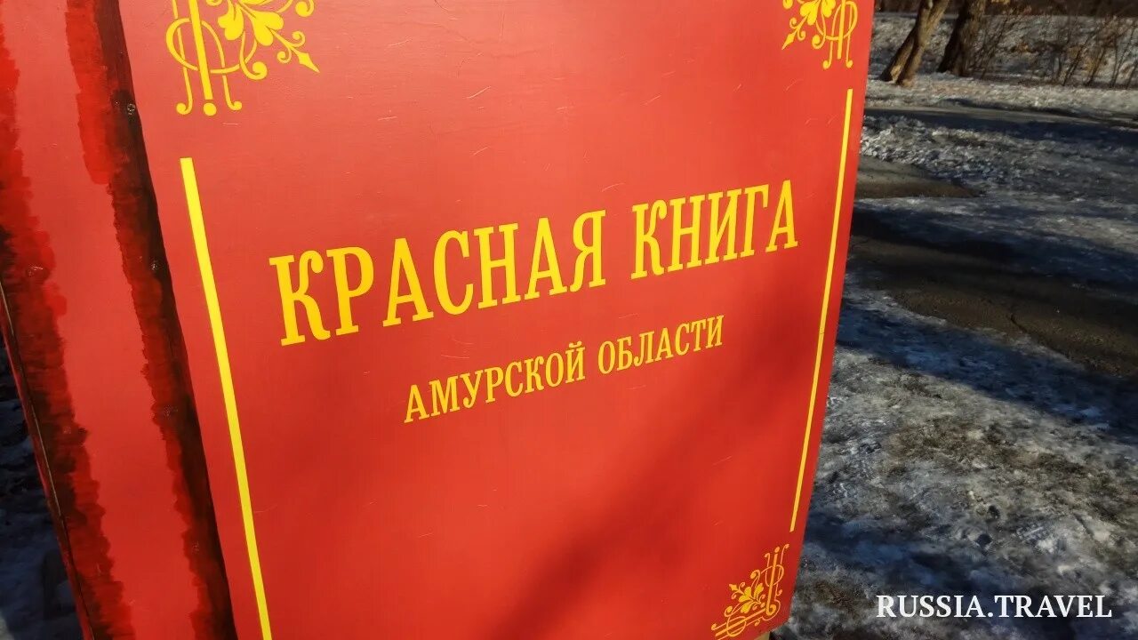 Красная книга Амурсок йобласти. Красная Крига Амурской области. Красная книга Рамонской области. Красная книга Амурской области книга.