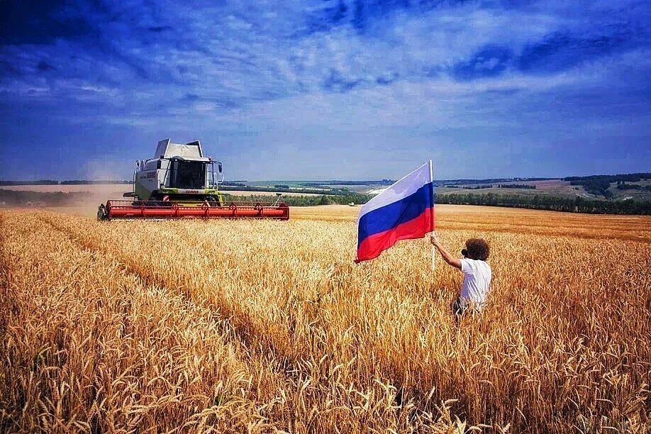 Сельское хозяйство. Сельское хозяйство России. Сельскохозяйственные поля. Сельхоз хозяйство в России. Сборки в поле