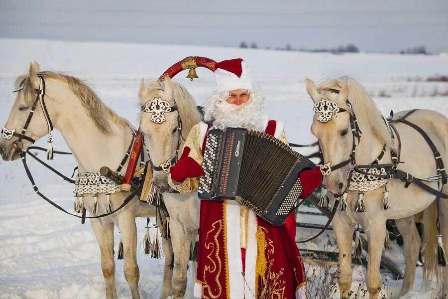 Дед мороз и снегурочка на тройке лошадей. Дед мороз и снегурочка на лошадях. Сани деда мороза великий устюг. Колесница деда мороза. Лошадей деда мороза.
