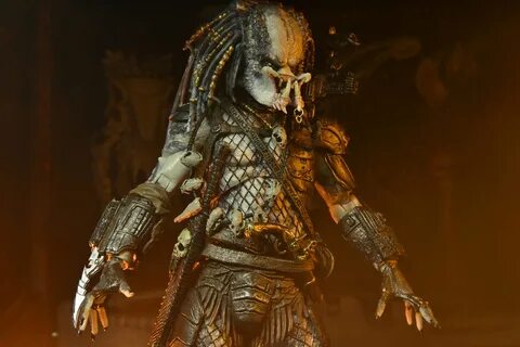 Predator обзор