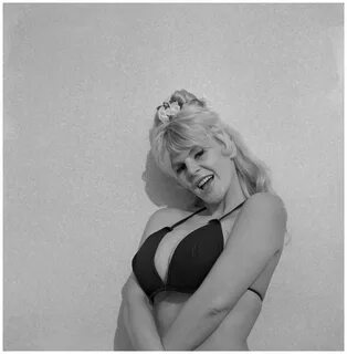 Babbette Bardot Hot Sale shuma-net.ru.