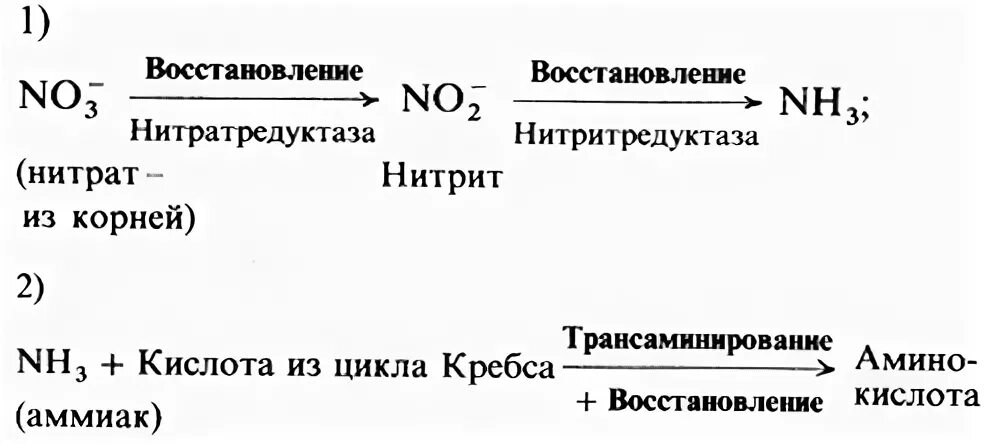 Аммиака нитритов нитратов. Восстановление нитратов до аммиака. Восстановление нитратов в нитриты. Восстановление нитратов до нитритов реакция. Превращение нитратов в нитриты.