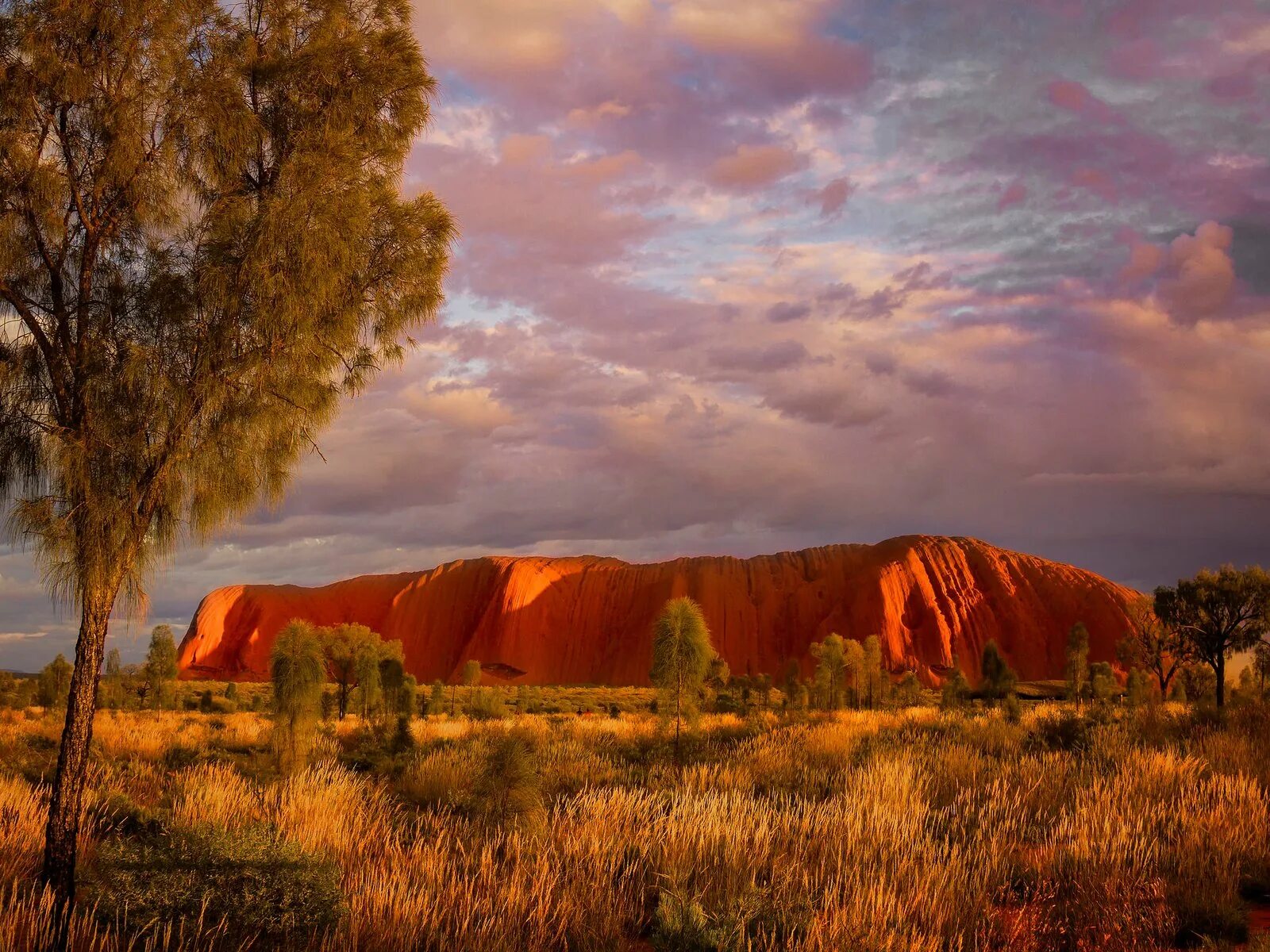 Природа австралии климат. Улуру Австралия. Улуру Северная территория. Northern Territory Австралия.