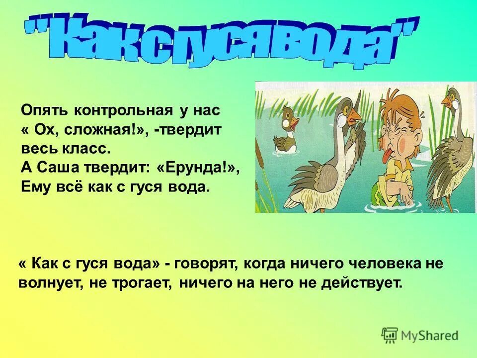 Предложение с фразеологизмом с гуся вода. Как с гуся вода рассказ. Как с гуся вода. Объяснить как с гуся вода. Как с гуся вода фразеологизм.