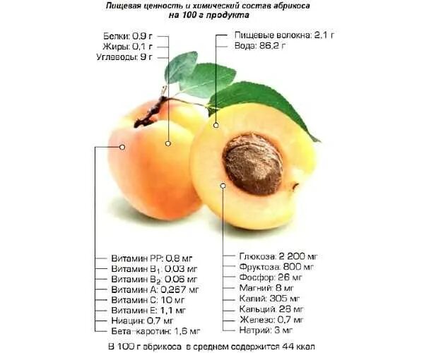 Нектарин калорийность. Витамины в абрикосе таблица. Пищевая ценность абрикоса. Абрикос состав. Что содержится в персиках витамины.