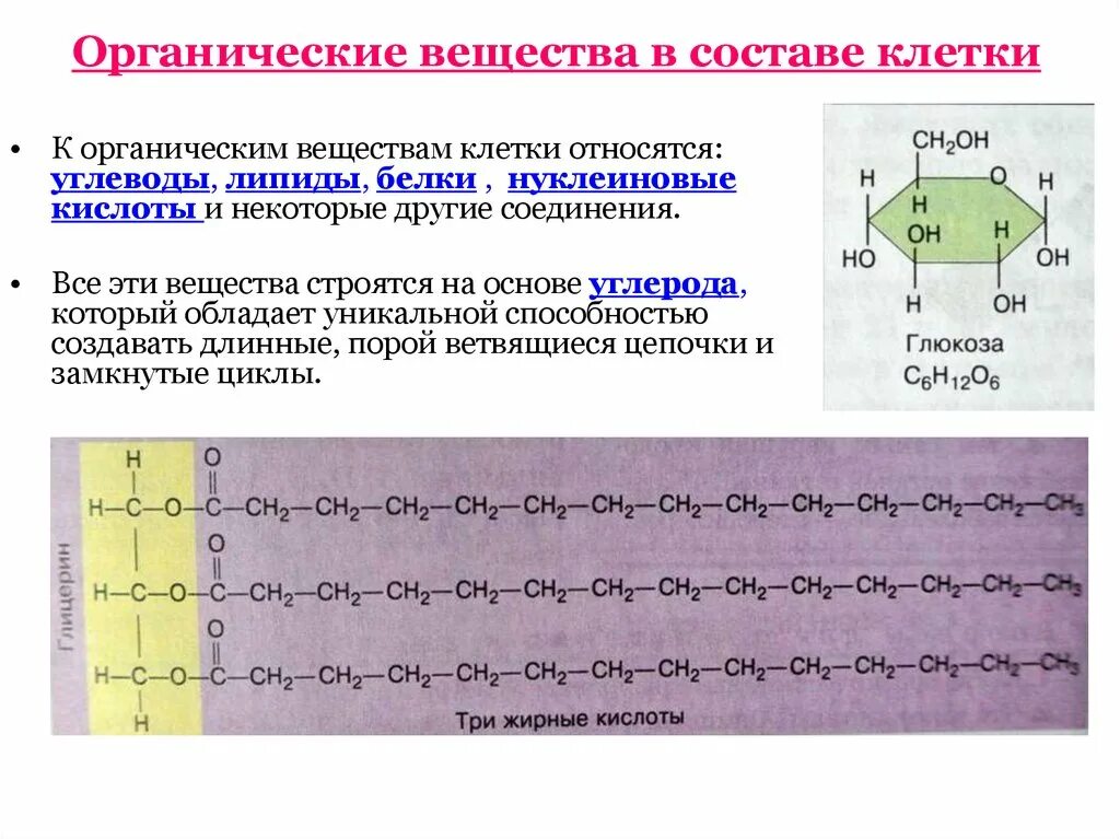 Функции нуклеиновых кислот углеводов. Органические вещества липиды. Белки липиды углеводы нуклеиновые кислоты. Органические вещества клетки углеводы липиды. Органические соединения клетки.