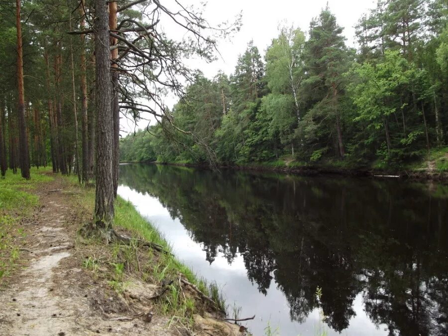 река бужу. каратал железнодорожный мост. река бужу. река бужа рыбалка. река бужа.