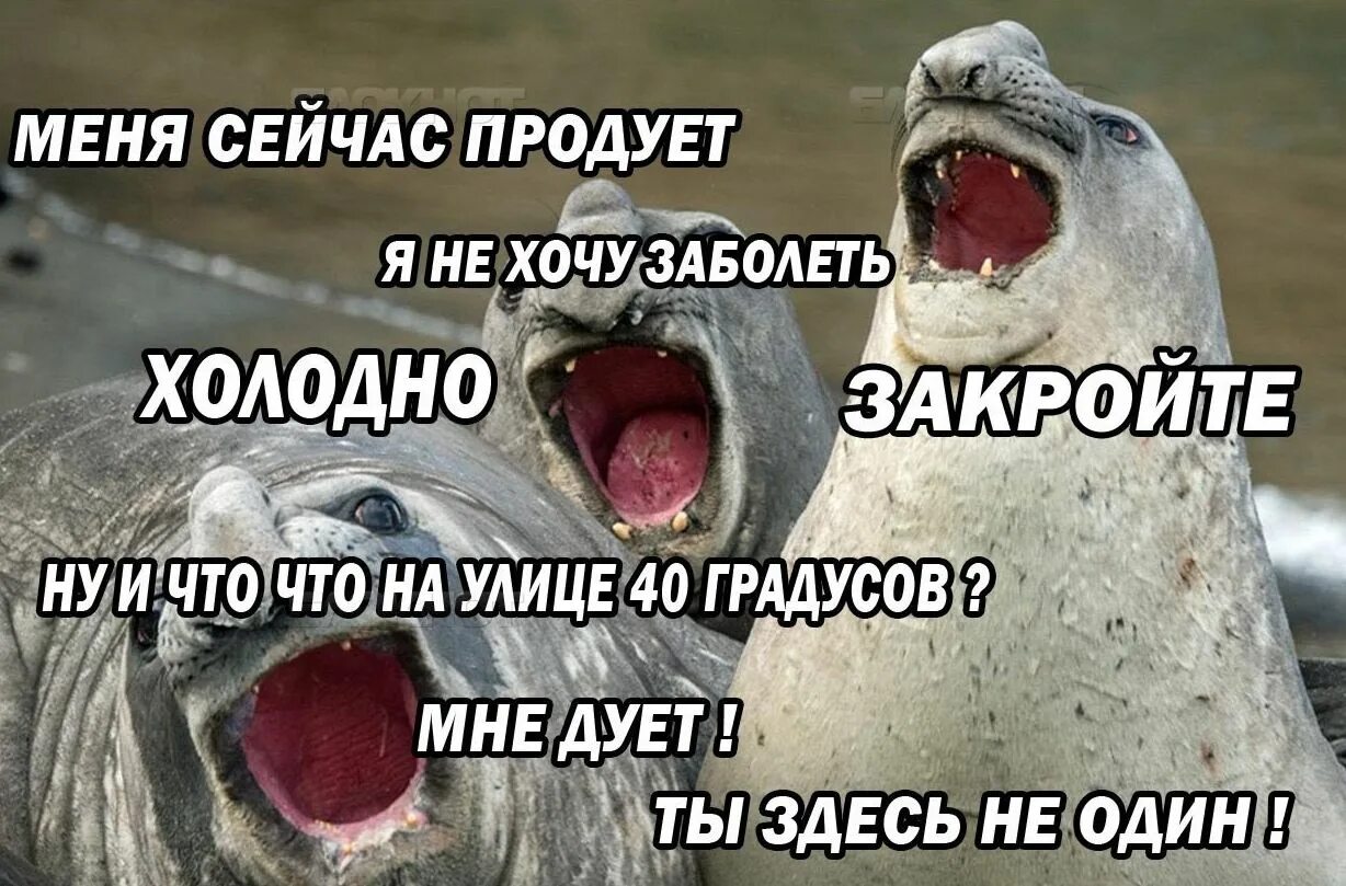 Ночью было душно зато днем прошел дождь