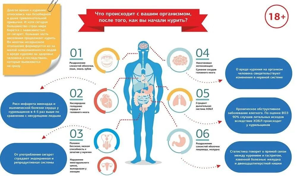 Что происходит. Вред курения на организм человека. Вред табакокурения на организм.