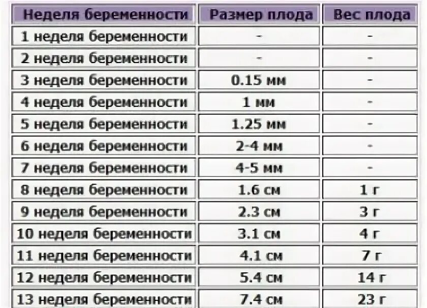 Как считать 3 недели. Размер эмбриона по неделям таблица. Размер эмбриона на 7 акушерской неделе. 6 Недель акушерской беременности размер плода. Размер плода на 5 неделе беременности.