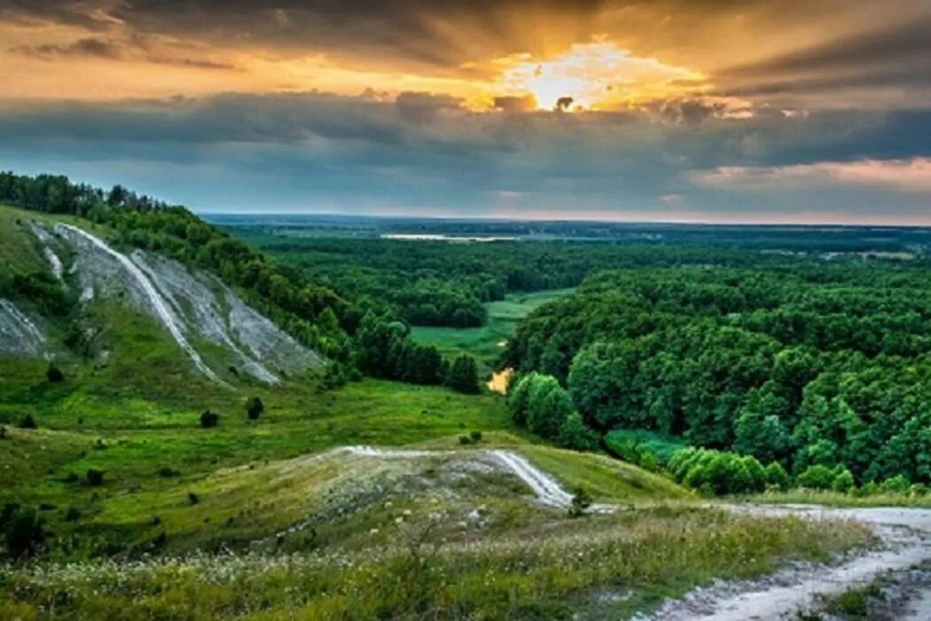 Ласковый край. Урочище мордва Воронежской области. Природа Воронежской области. Заповедные пейзажи Новохоперска Воронежской. Заповедные уголки Воронежской области.